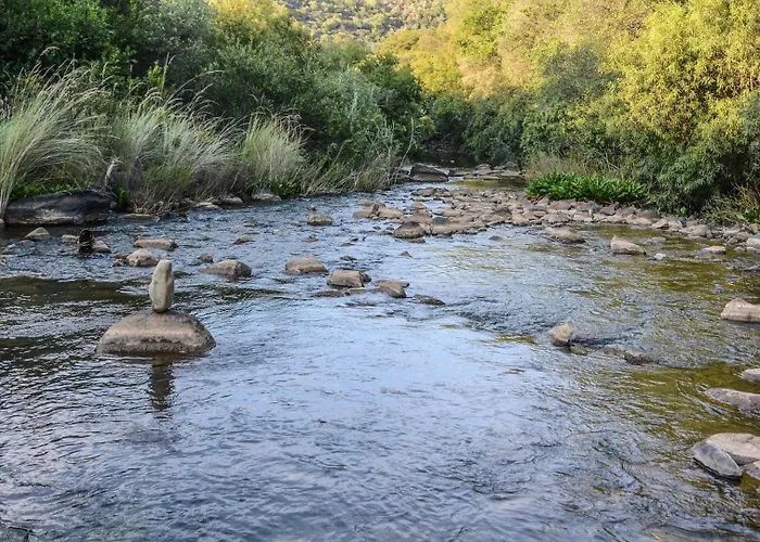Riverstill Guest Farm
