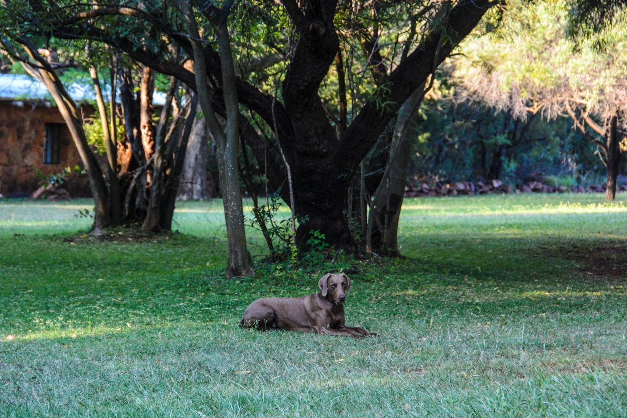 Riverstill Guest Farm Groot-Marico
